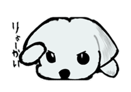 Maltese will not move sticker #8265859