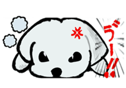 Maltese will not move sticker #8265864