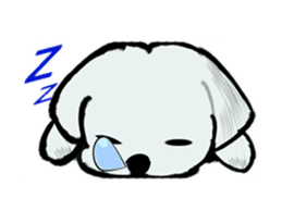 Maltese will not move sticker #8265867