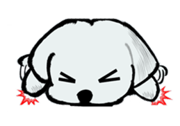 Maltese will not move sticker #8265868