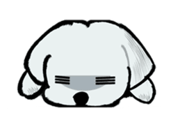 Maltese will not move sticker #8265874