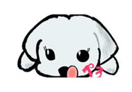 Maltese will not move sticker #8265879