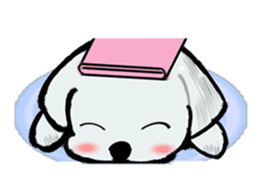 Maltese will not move sticker #8265881