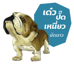 Dog and Dogs ! original sticker #8266288