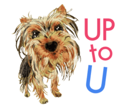 Dog and Dogs ! original sticker #8266291