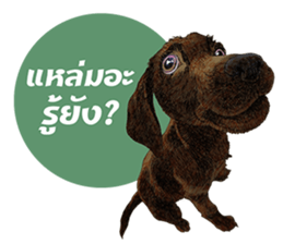 Dog and Dogs ! original sticker #8266293