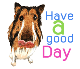 Dog and Dogs ! original sticker #8266294