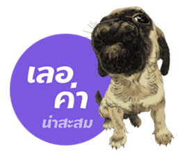 Dog and Dogs ! original sticker #8266296