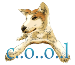 Dog and Dogs ! original sticker #8266305