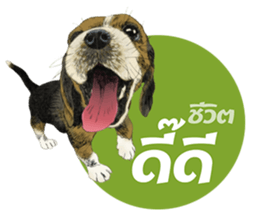 Dog and Dogs ! original sticker #8266311