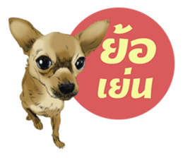 Dog and Dogs ! original sticker #8266313