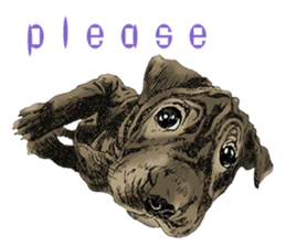 Dog and Dogs ! original sticker #8266317