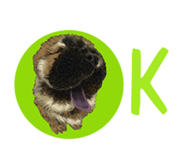 Dog and Dogs ! original sticker #8266319