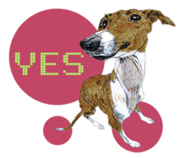 Dog and Dogs ! original sticker #8266321