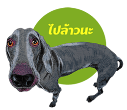 Dog and Dogs ! original sticker #8266322