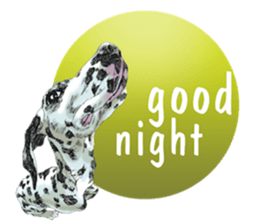 Dog and Dogs ! original sticker #8266323