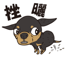 0.5mm Chihuahua sticker #8266728