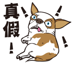 0.5mm Chihuahua sticker #8266759