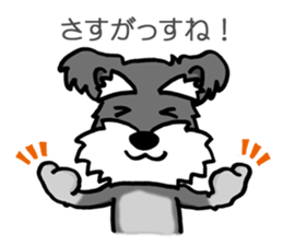 Schnauzer brings you happiness!2 sticker #8269061