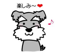 Schnauzer brings you happiness!2 sticker #8269062