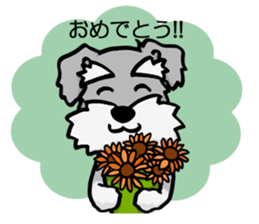 Schnauzer brings you happiness!2 sticker #8269067