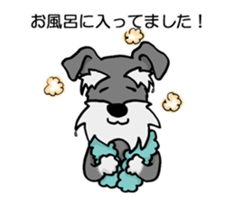 Schnauzer brings you happiness!2 sticker #8269073