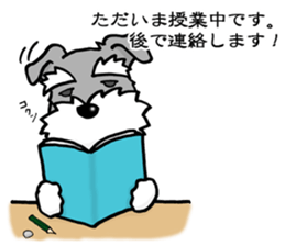 Schnauzer brings you happiness!2 sticker #8269077