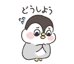 Baby penguin-pengpeng sticker #8269860