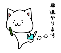 The Shy Cat sticker #8270709