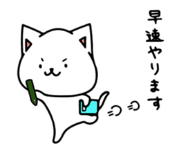 The Shy Cat sticker #8270709