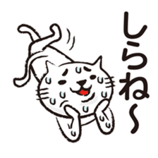 Very white cat everyday rush sticker #8270751
