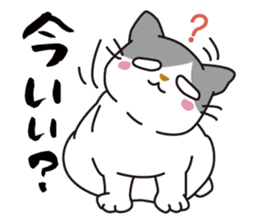 OBAKAWA cat C'eC. sticker #8271404