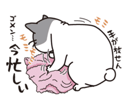 OBAKAWA cat C'eC. sticker #8271405