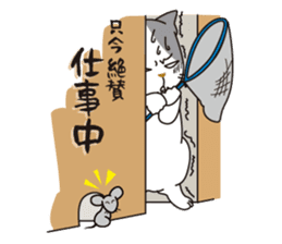 OBAKAWA cat C'eC. sticker #8271408