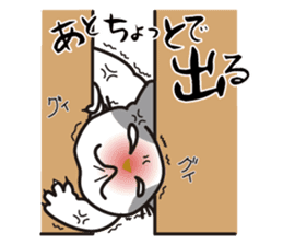 OBAKAWA cat C'eC. sticker #8271429