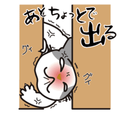 OBAKAWA cat C'eC. sticker #8271429