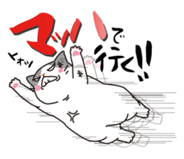 OBAKAWA cat C'eC. sticker #8271431