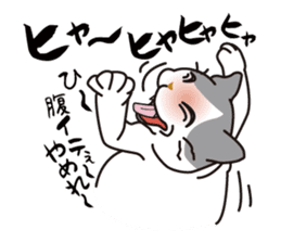 OBAKAWA cat C'eC. sticker #8271439