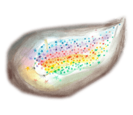 Inner fairy sticker #8273398