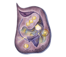 Inner fairy sticker #8273412