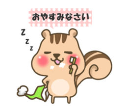 pretty squirrel sticker  part2 sticker #8276118