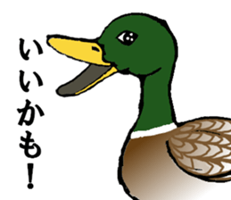 Various puns sticker sticker #8277704