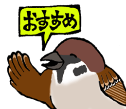 Various puns sticker sticker #8277713