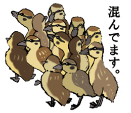 Various puns sticker sticker #8277725