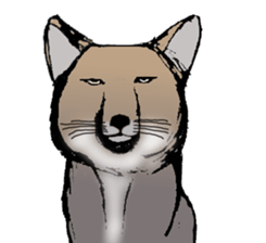 Various puns sticker sticker #8277733