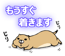 Cute Urocitellus richardsonii sticker #8278947