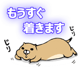 Cute Urocitellus richardsonii sticker #8278947