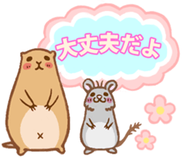 Cute Urocitellus richardsonii sticker #8278957