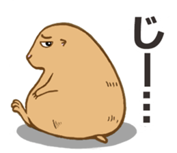 Cute Urocitellus richardsonii sticker #8278963