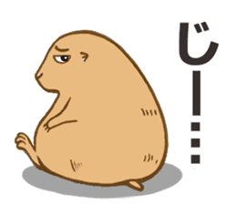 Cute Urocitellus richardsonii sticker #8278963